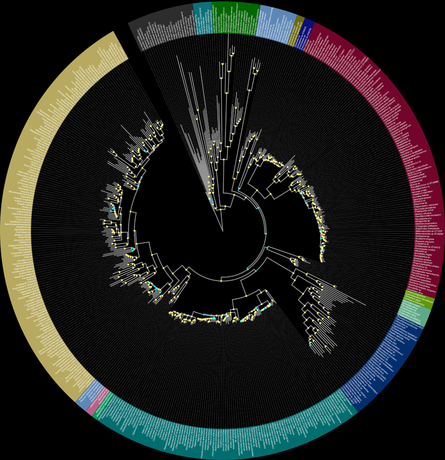 A large and detailed phylogenetic tree forms a circle.