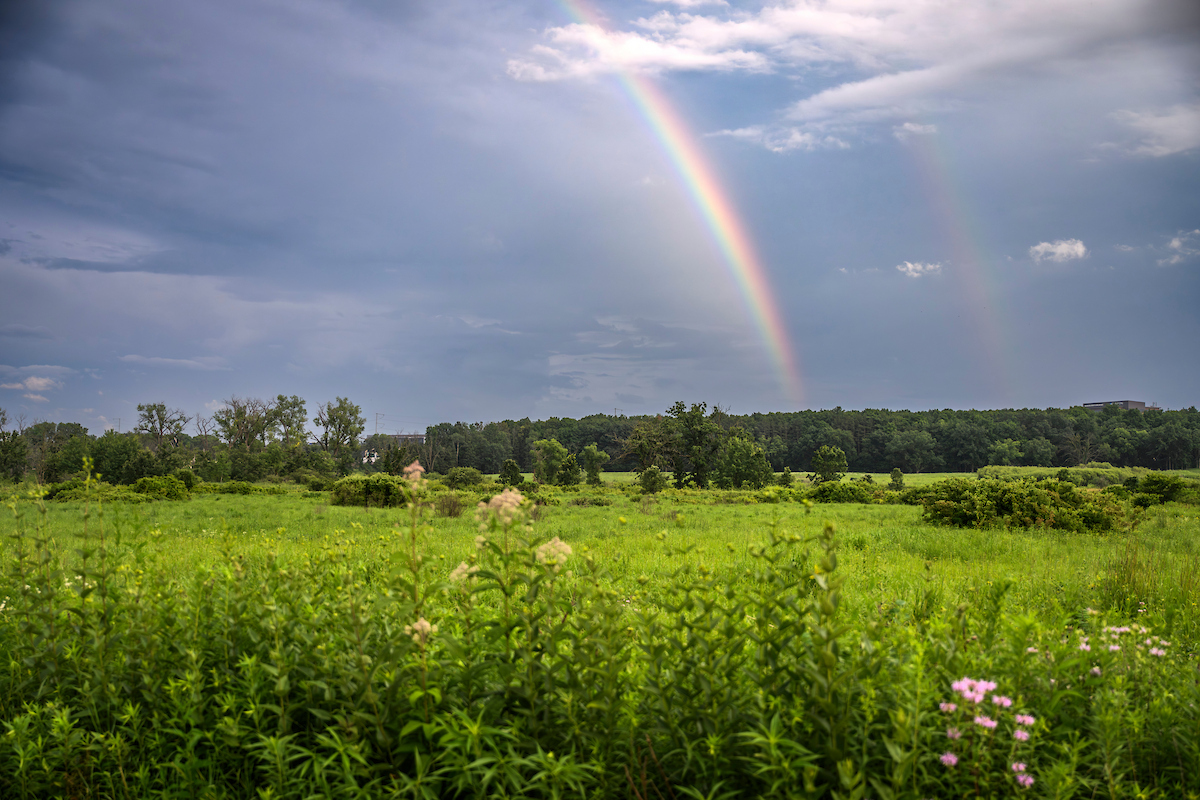 A lush prairie in spring time with a dramatic sky and double rainbow.