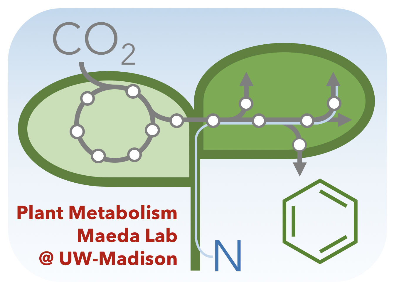 A simple diagram of a plant with two leaves, depicting Co2 and Nitrogen being taken into the plant so it can produce various other products.