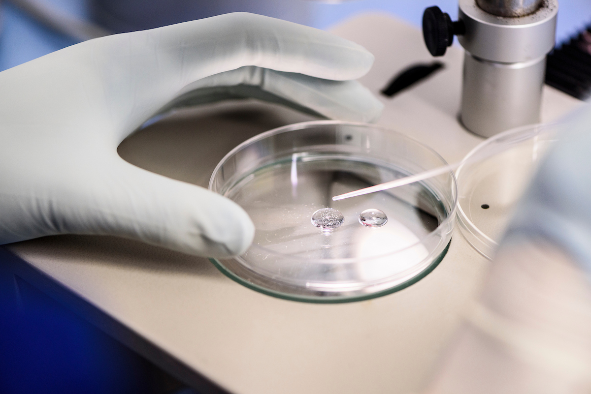 Gloved hands prepare a sample in a petri dish for visualization under a microscope.