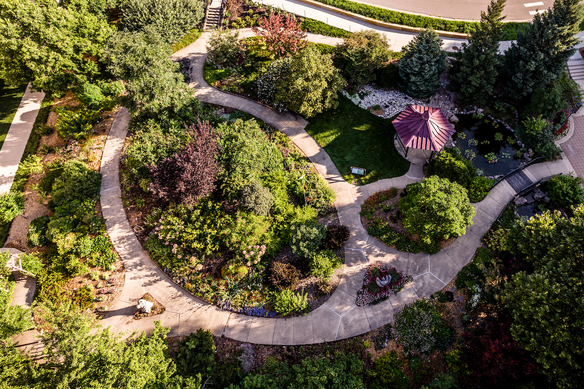 An aerial view on a sunny day at dawn looks down at a garden with rounded paved paths that loop around various trees, sedges, flowers, and bushes.