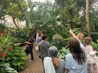 a group of undergraduates walk through a lush indoor garden, pointing out plants that catch their eye.