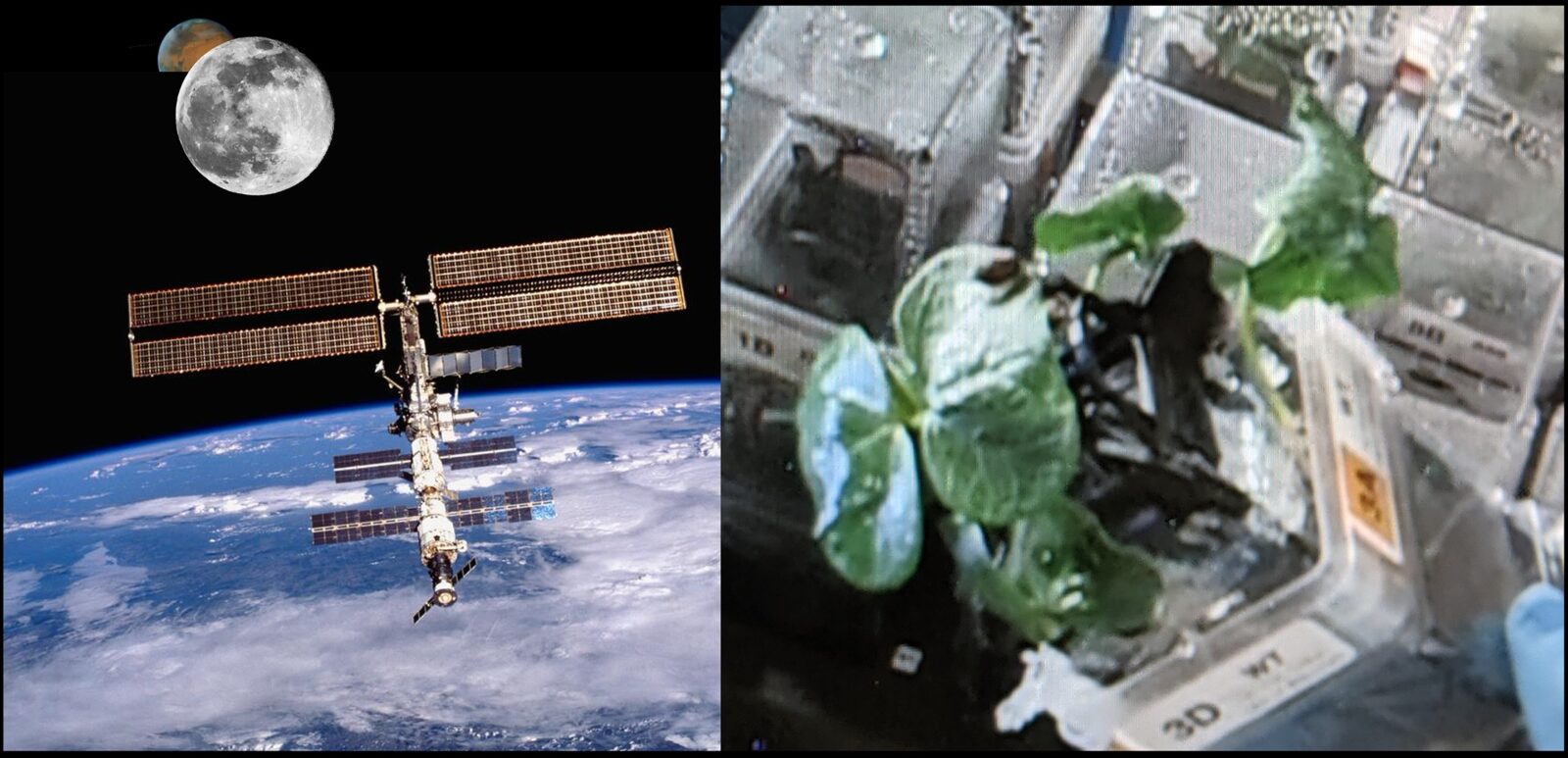 An image with two images digitally joined together. The image on the left is of a satellite in space above Earth with the moon in the background. On the right, a plant grows in a small plastic container.