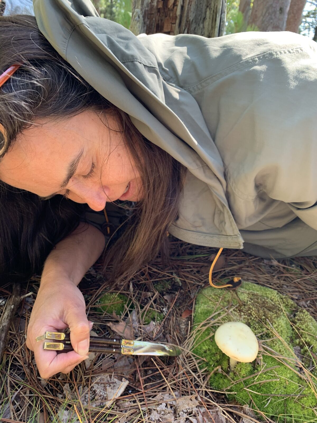 A person kneeling on the forest floor leans over to look at a white mushroom growing out of a patch of moss.