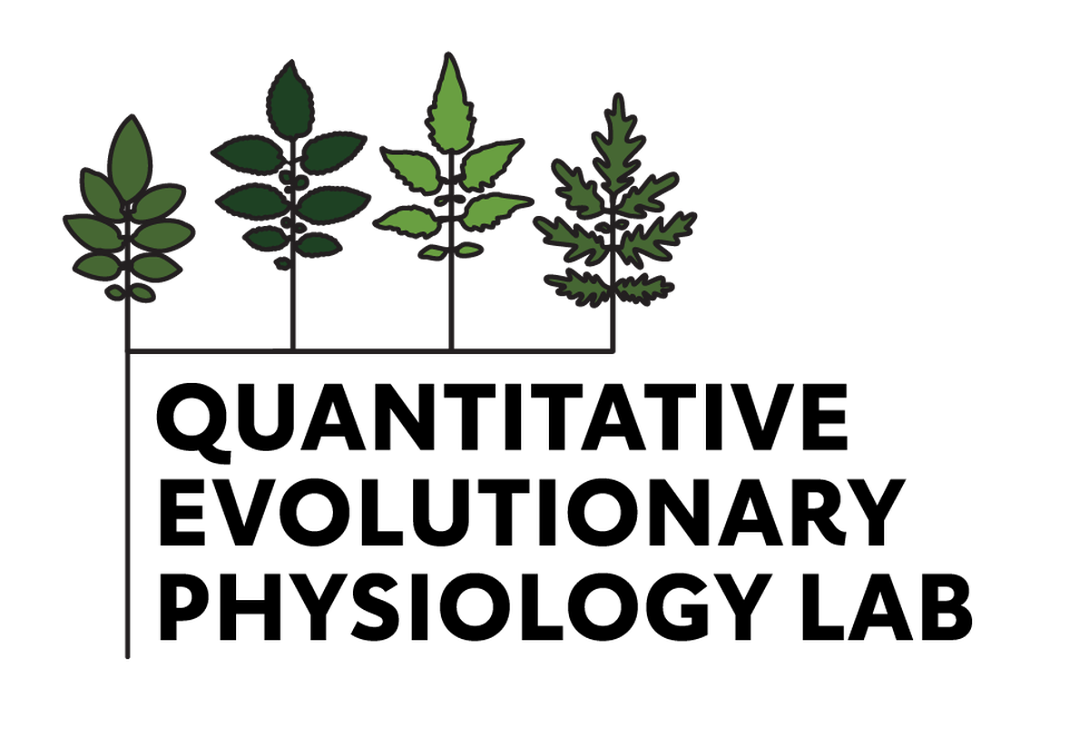 A logo design of various leaves connected by lines reminiscent of a taxonomy tree and the words "Quantitative Evolutionary Physiology Lab"