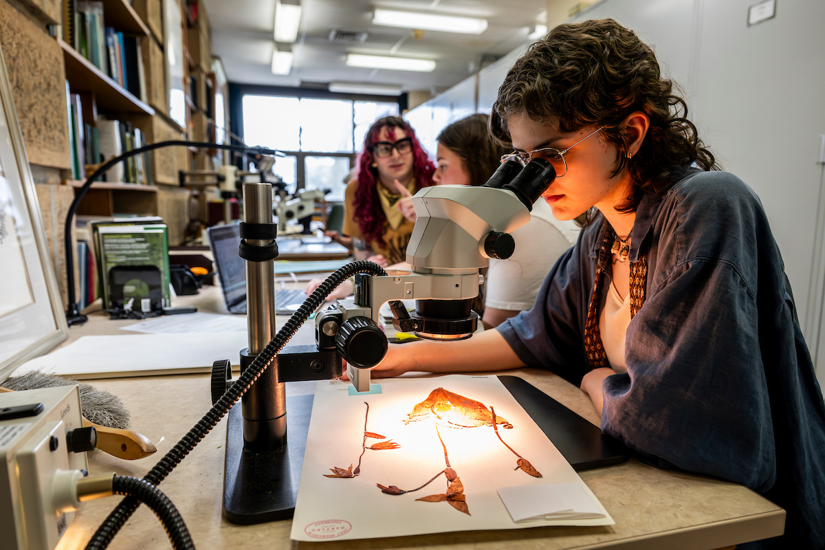 A student looks through a microscope at a dried, preserved pitcher plant specimen while two people sitting further down the table discuss other specimen.