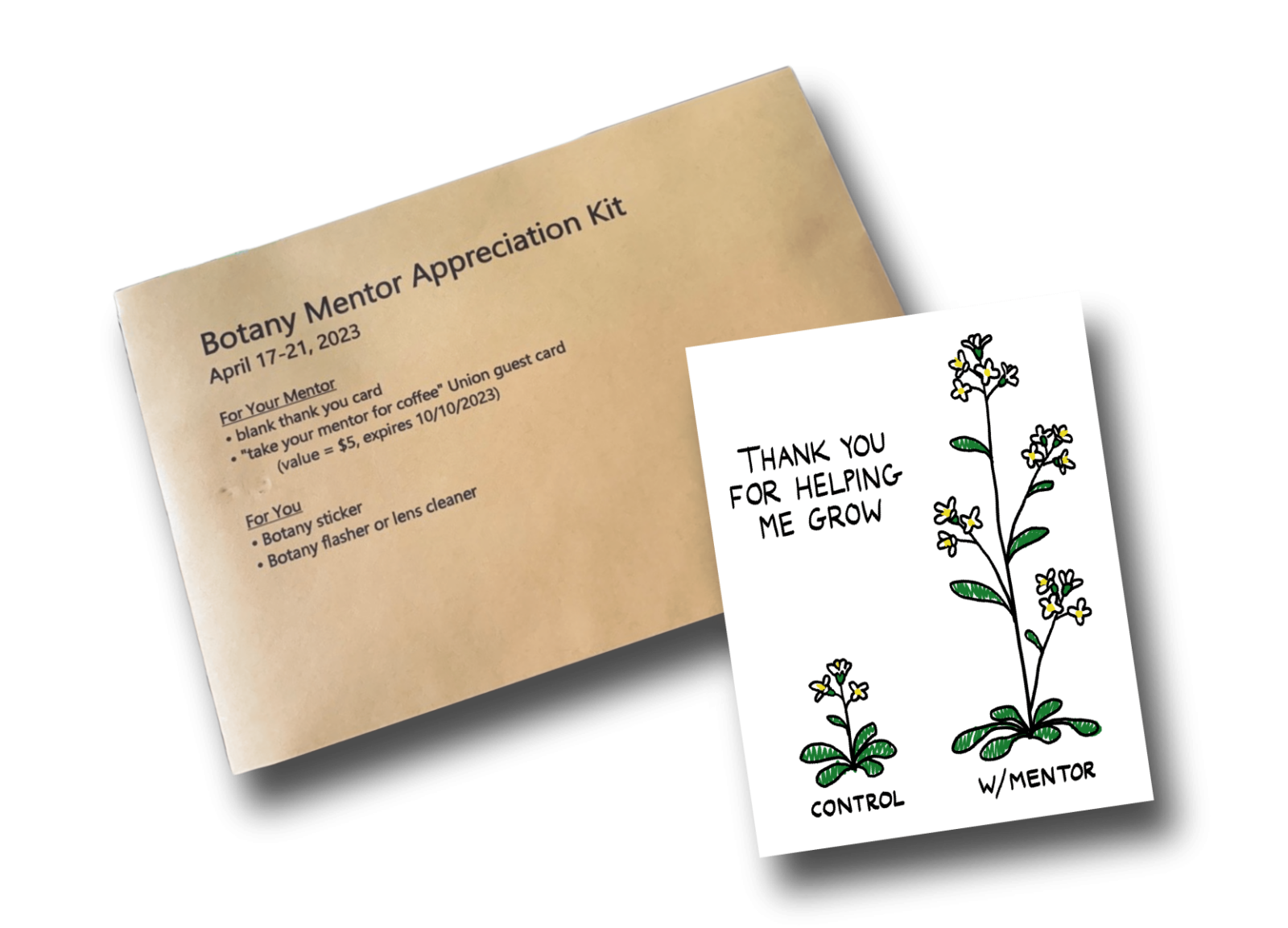 An illustration of materials included in the "Botany Mentor Appreciation Kit" featuring a drawing of two plants and the words "Thank you for helping me grow". One is smaller and labeled "control", the plant beside it is far larger, taller and has more flowers and is labeled "w/ Mentor".