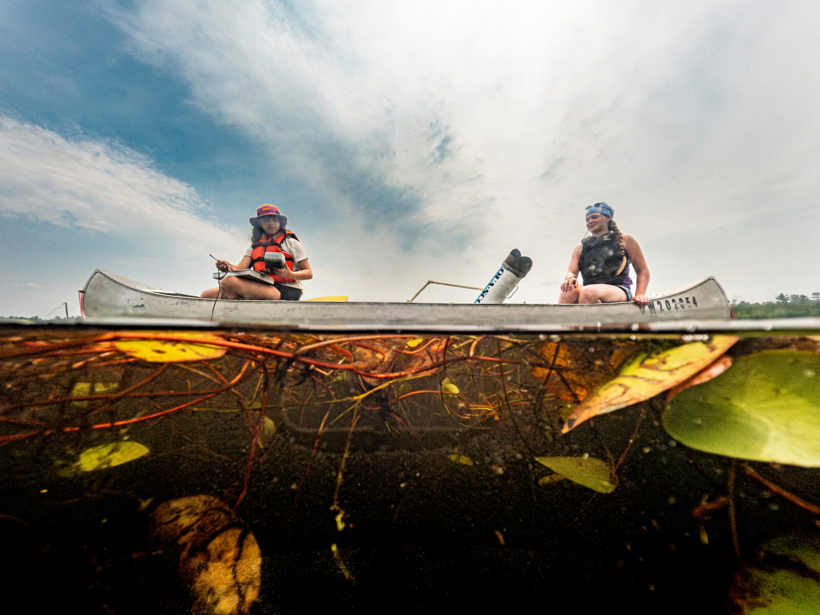 The image is split in half by the waterline of a lake. Above the water line, two students peer over the side of an alumninum canoe, notepads in hand. Below the waterline is dense vegetation.