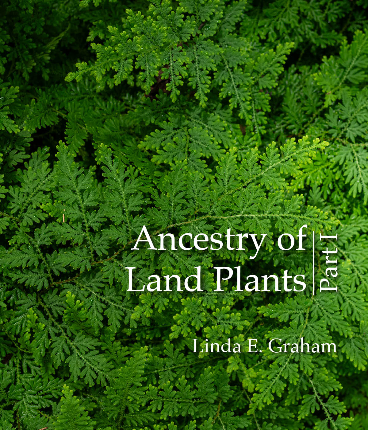 Cover of a textbook featuring several crisscrossing green ferns with text over it that reads: "Ancestry of Land Plants Part 1 By Linda E. Graham"