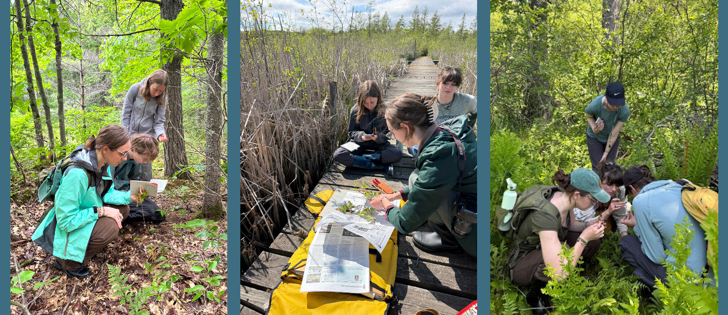 UW researchers train future scientists and educate communities about wisconsin’s peatlands